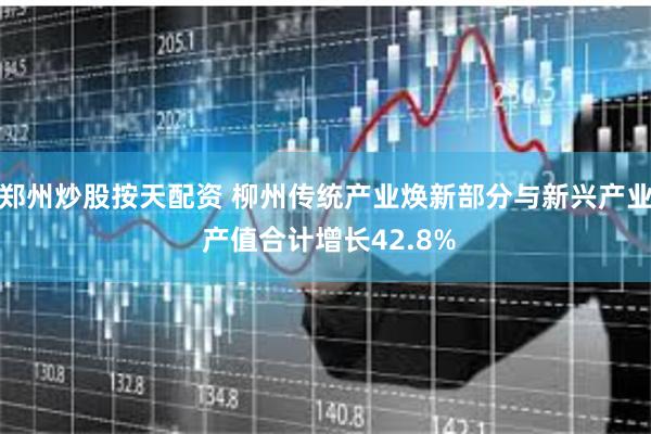 郑州炒股按天配资 柳州传统产业焕新部分与新兴产业 产值合计增长42.8%