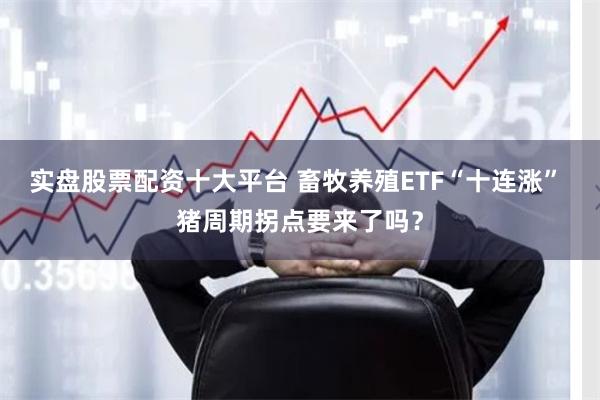 实盘股票配资十大平台 畜牧养殖ETF“十连涨” 猪周期拐点要来了吗？