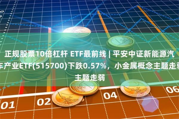 正规股票10倍杠杆 ETF最前线 | 平安中证新能源汽车产业ETF(515700)下跌0.57%，小金属概念主题走弱