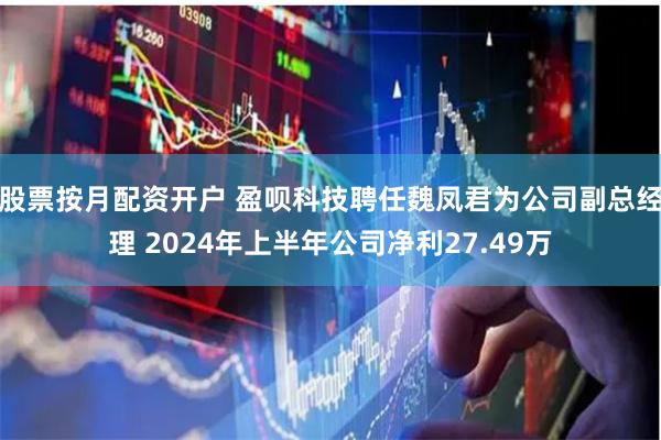 股票按月配资开户 盈呗科技聘任魏凤君为公司副总经理 2024年上半年公司净利27.49万
