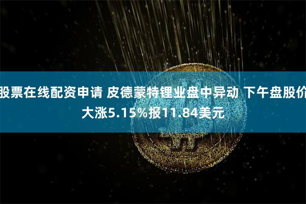 股票在线配资申请 皮德蒙特锂业盘中异动 下午盘股价大涨5.15%报11.84美元