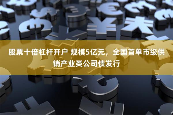 股票十倍杠杆开户 规模5亿元，全国首单市级供销产业类公司债发行