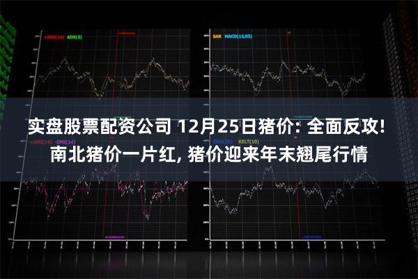 实盘股票配资公司 12月25日猪价: 全面反攻! 南北猪价一片红, 猪价迎来年末翘尾行情