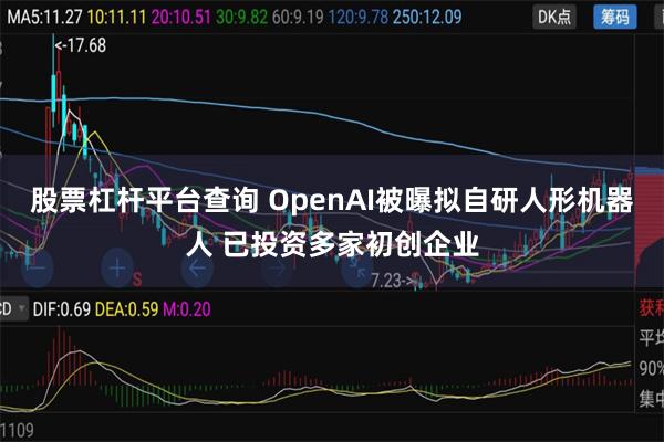 股票杠杆平台查询 OpenAI被曝拟自研人形机器人 已投资多家初创企业