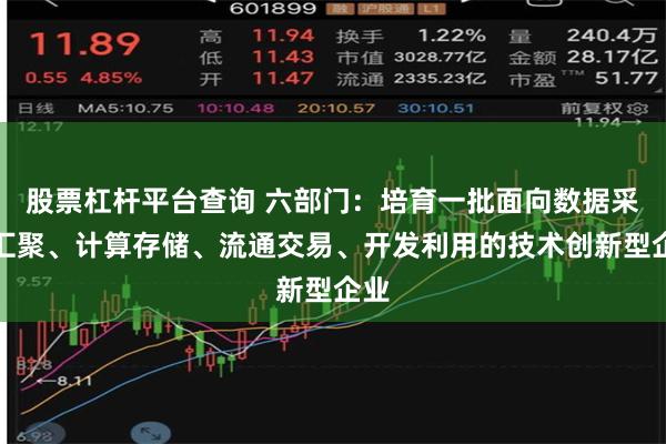 股票杠杆平台查询 六部门：培育一批面向数据采集汇聚、计算存储、流通交易、开发利用的技术创新型企业