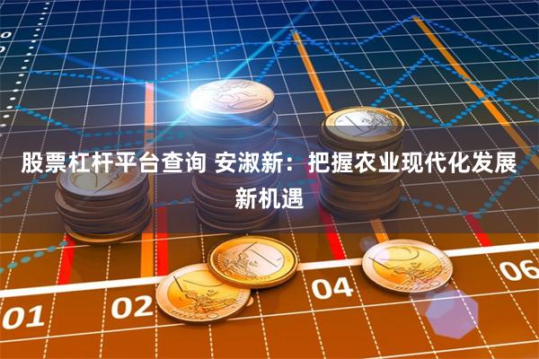 股票杠杆平台查询 安淑新：把握农业现代化发展新机遇