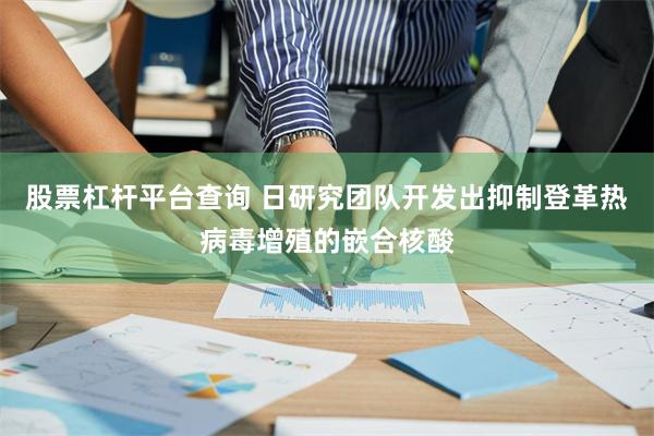 股票杠杆平台查询 日研究团队开发出抑制登革热病毒增殖的嵌合核酸
