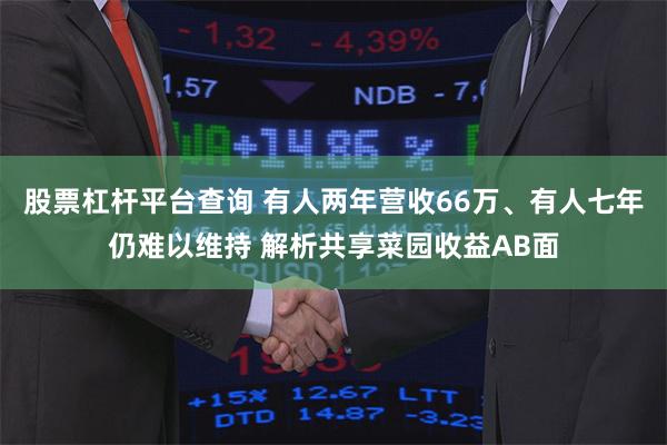 股票杠杆平台查询 有人两年营收66万、有人七年仍难以维持 解析共享菜园收益AB面