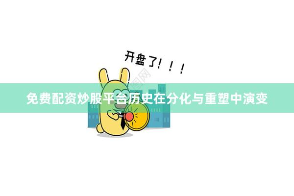 免费配资炒股平台历史在分化与重塑中演变