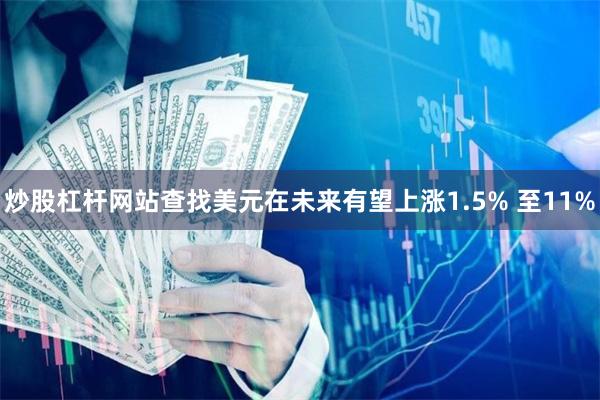 炒股杠杆网站查找美元在未来有望上涨1.5% 至11%